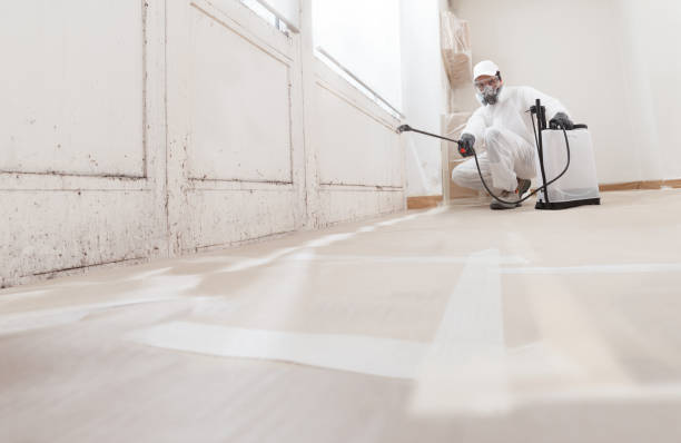 24/7 Emergency Basement Mold Remediation experts in Winthrop, MN