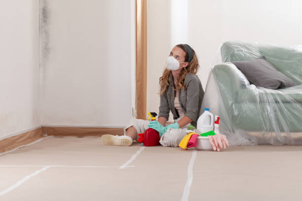 Reliable Basement Mold Remediation contractor in Winthrop, MN by Mold Remediation HQ